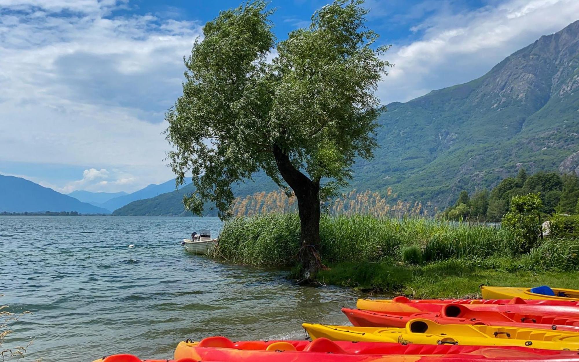 Dascio Emotion Ferienwohnung Mit Terrasse Am See Esterno foto